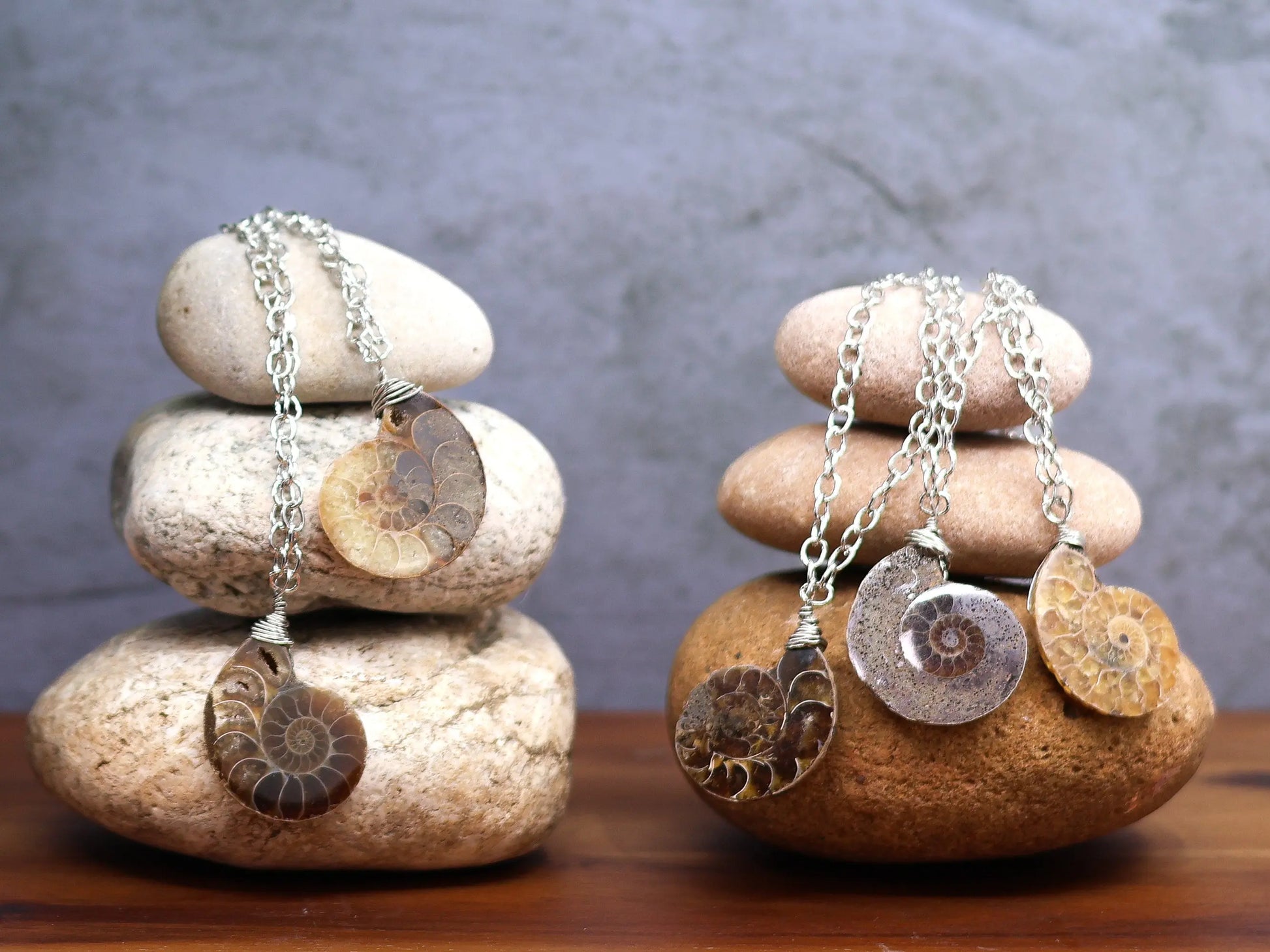 Ammonite Fossil Necklace | Ammonite Pendant | Fossil Jewelry | Wire Wrap Ammonite Necklace | Spiral Fossil Pendant | Fossil Specimen