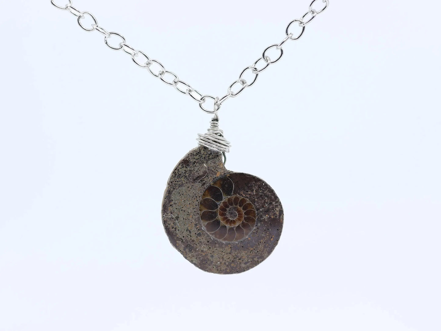 Ammonite Fossil Necklace | Ammonite Pendant | Fossil Jewelry | Wire Wrap Ammonite Necklace | Spiral Fossil Pendant | Fossil Specimen