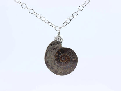 Ammonite Fossil Necklace | Ammonite Pendant | Fossil Jewelry | Wire Wrap Ammonite Necklace | Spiral Fossil Pendant | Fossil Specimen