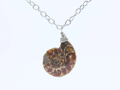 Ammonite Fossil Necklace | Ammonite Pendant | Fossil Jewelry | Wire Wrap Ammonite Necklace | Spiral Fossil Pendant | Fossil Specimen