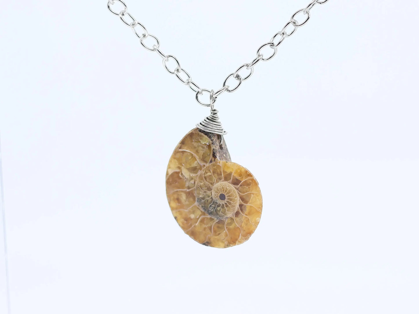 Ammonite Fossil Necklace | Ammonite Pendant | Fossil Jewelry | Wire Wrap Ammonite Necklace | Spiral Fossil Pendant | Fossil Specimen