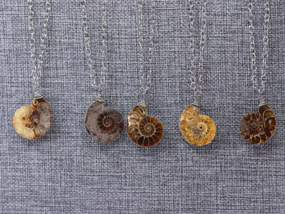 Ammonite Fossil Necklace | Ammonite Pendant | Fossil Jewelry | Wire Wrap Ammonite Necklace | Spiral Fossil Pendant | Fossil Specimen