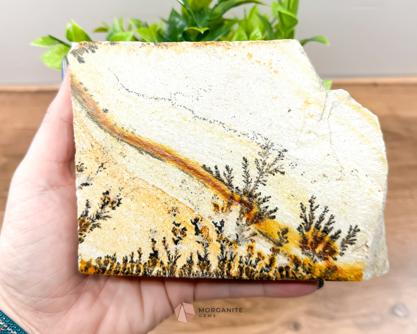 Dendrites from Utah also called "Picture Stone"