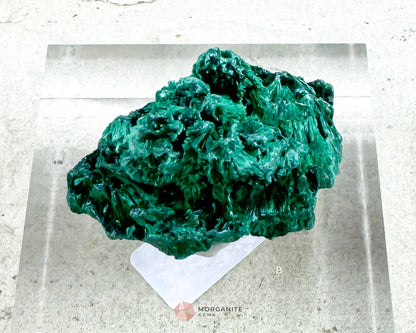 Natural Velvet Malachite Crystal Cluster on Clear Stand