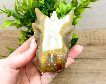 One-of-a-Kind Agate Dragon Skulls - Unique Creations of Power and Beauty