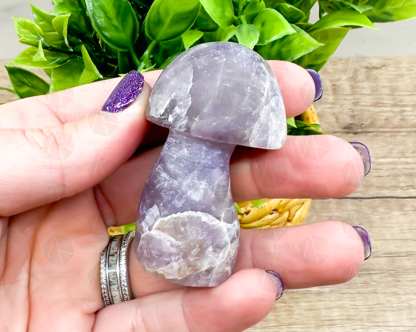 Amethyst Mushroom Carving – Matte Polished Finish for Spiritual Clarity and Protection - Morganite Gems