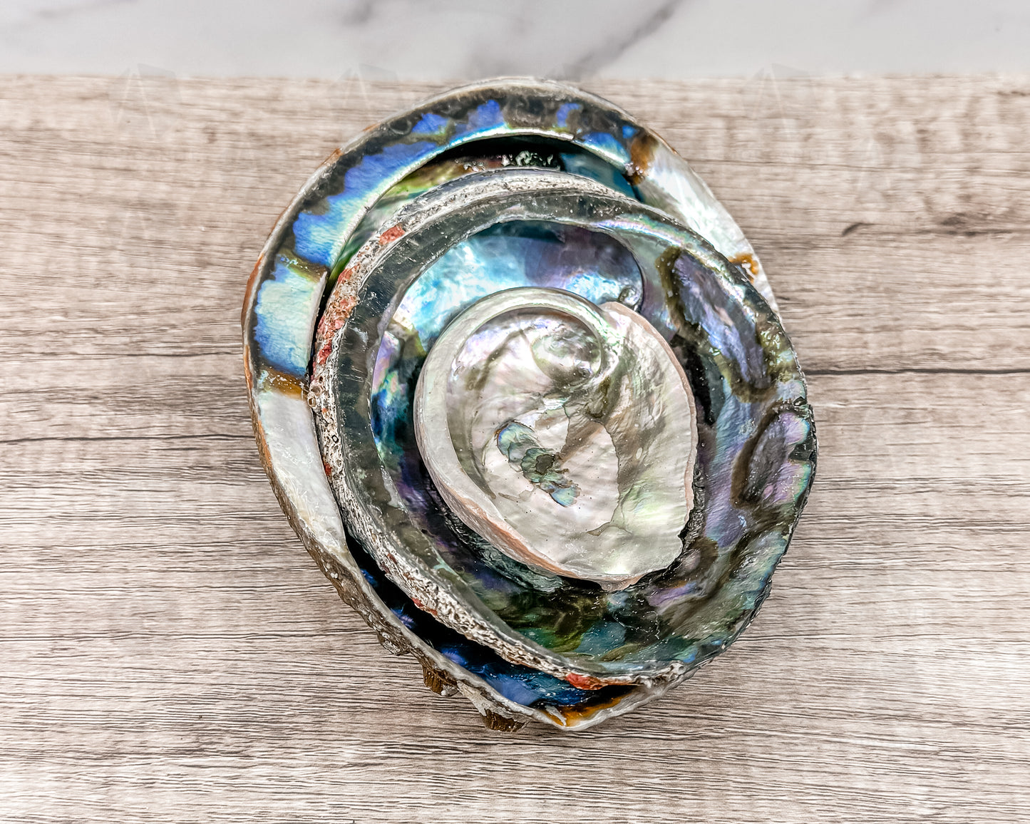 Abalone Shell - Radiant Vessel for Sacred Smudging - Morganite Gems