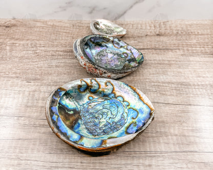 Abalone Shell - Radiant Vessel for Sacred Smudging - Morganite Gems