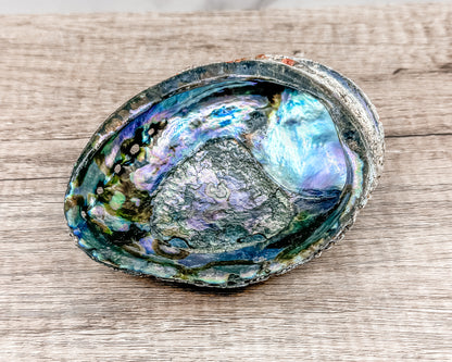 Abalone Shell - Radiant Vessel for Sacred Smudging - Morganite Gems