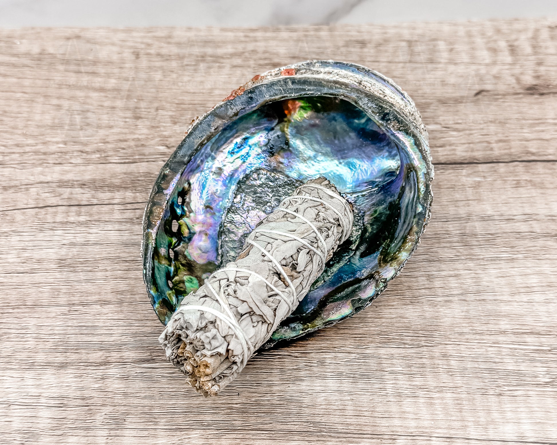 Abalone Shell - Radiant Vessel for Sacred Smudging - Morganite Gems