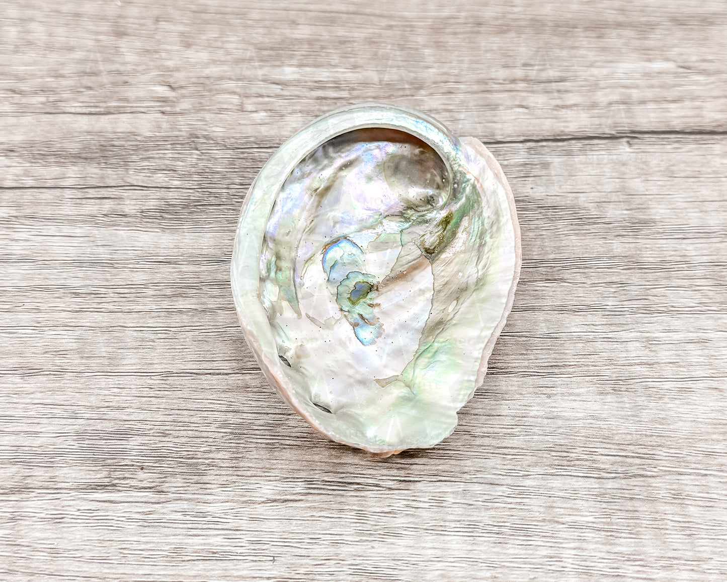 Abalone Shell - Radiant Vessel for Sacred Smudging - Morganite Gems