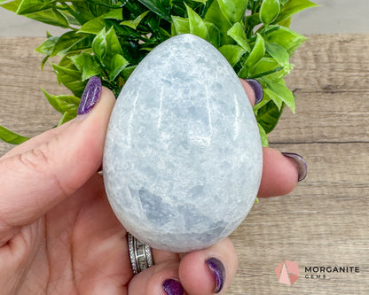 Blue Calcite Carved Egg – Calming Energy for Healing and Balance Morganite Gems