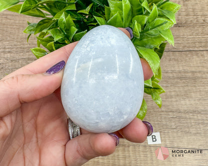 Blue Calcite Carved Egg – Calming Energy for Healing and Balance Morganite Gems