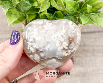 Flower Agate Heart – Stone of Growth and Self-Discovery for Emotional Healing and Inner Peace Morganite Gems