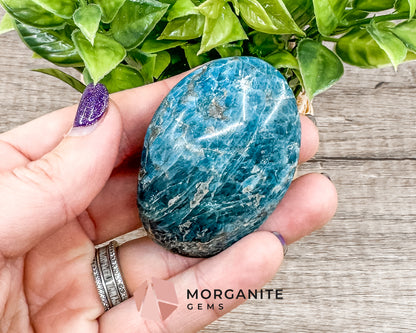 Blue Apatite Palm Stone – Crystal for Inspiration, Clarity, and Manifestation Morganite Gems