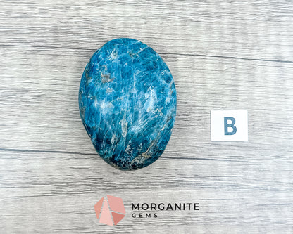 Blue Apatite Palm Stone – Crystal for Inspiration, Clarity, and Manifestation Morganite Gems