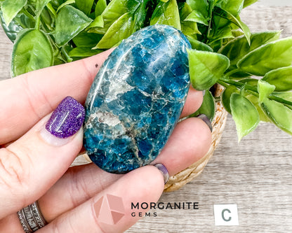 Blue Apatite Palm Stone – Crystal for Inspiration, Clarity, and Manifestation Morganite Gems