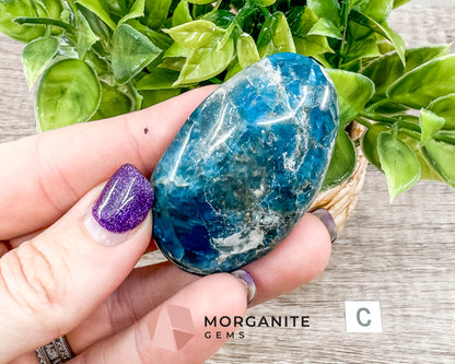 Blue Apatite Palm Stone – Crystal for Inspiration, Clarity, and Manifestation Morganite Gems