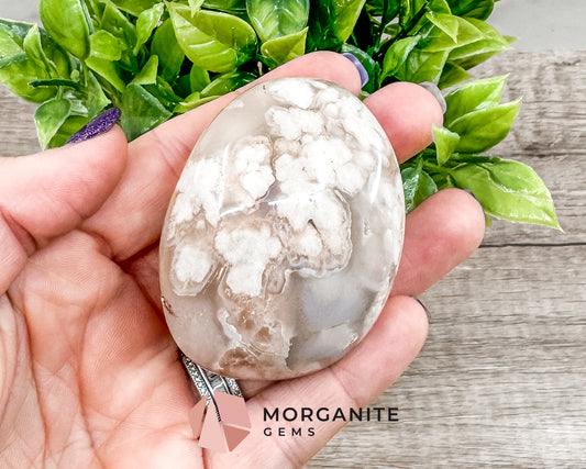 Flower Agate Palm Stone – Crystal for Growth, Transformation, and Emotional Healing Morganite Gems