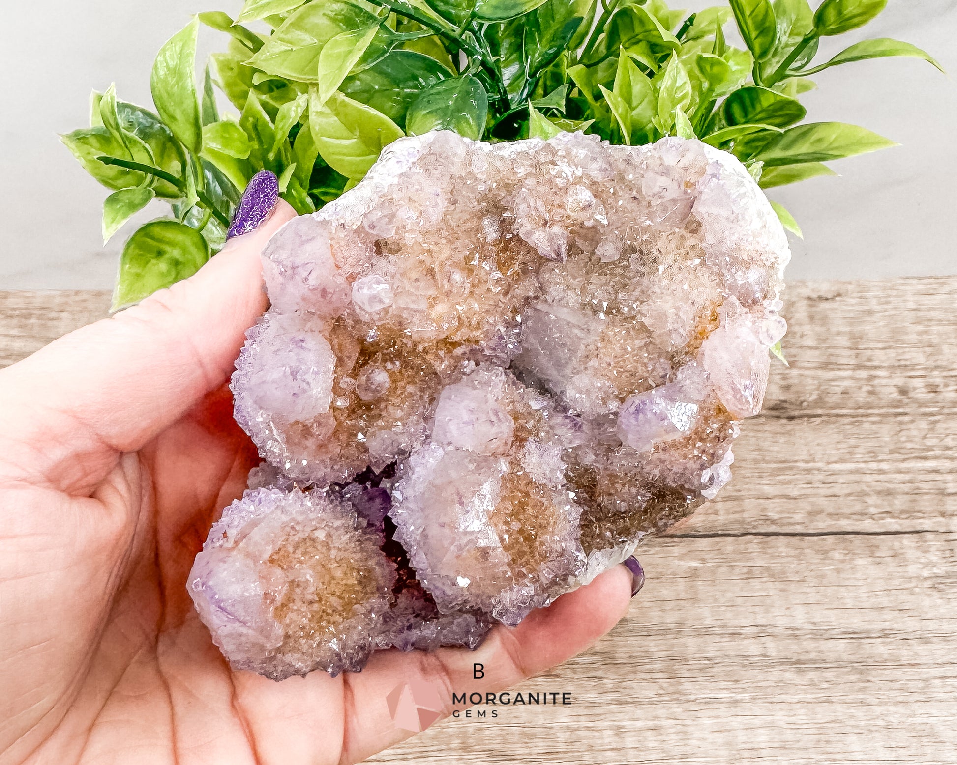 Spirit (Cactus) Quartz Specimens – Unique Natural Crystal Clusters for Spiritual Growth and Healing Morganite Gems