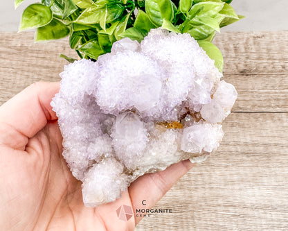 Spirit (Cactus) Quartz Specimens – Unique Natural Crystal Clusters for Spiritual Growth and Healing Morganite Gems