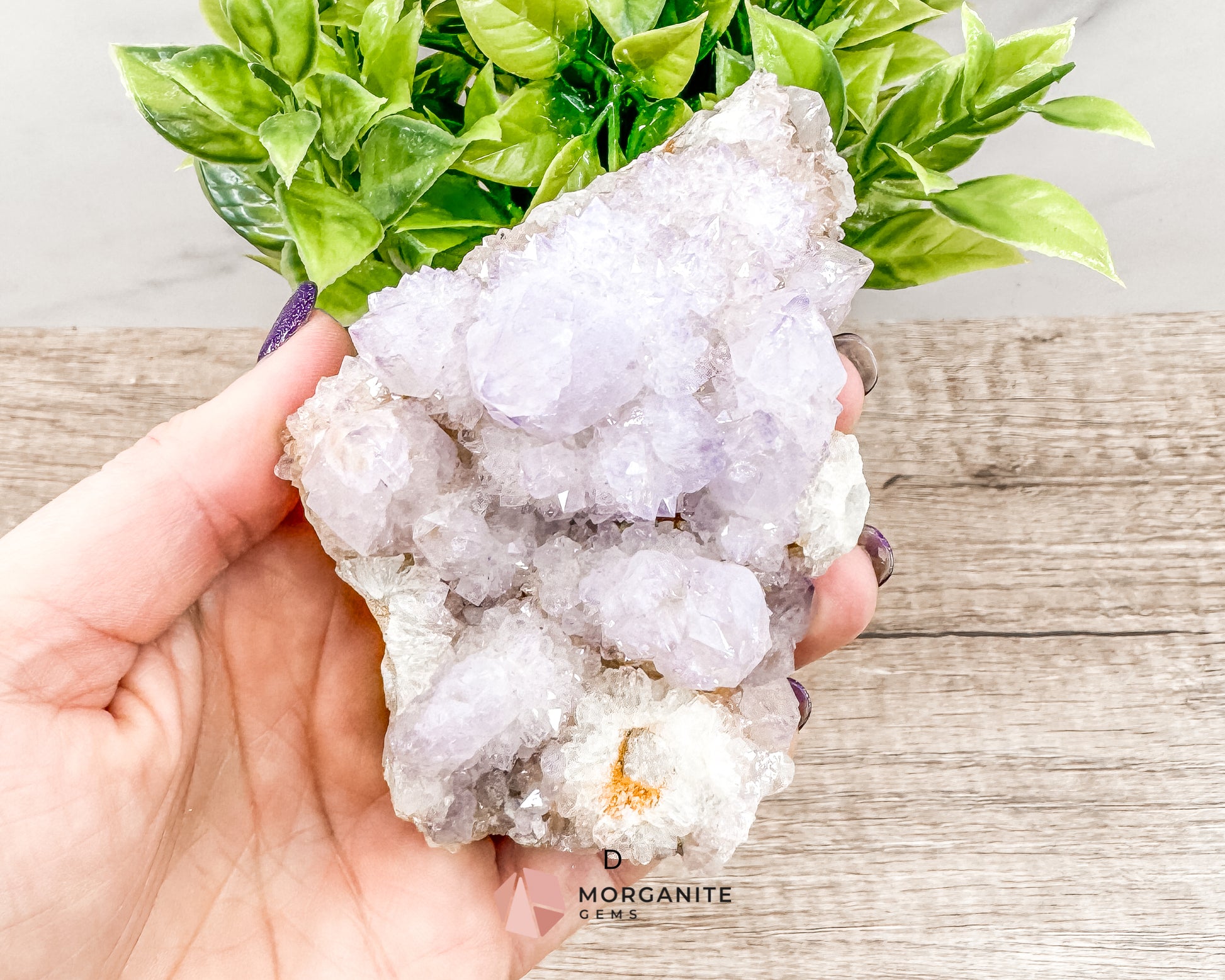 Spirit (Cactus) Quartz Specimens – Unique Natural Crystal Clusters for Spiritual Growth and Healing Morganite Gems