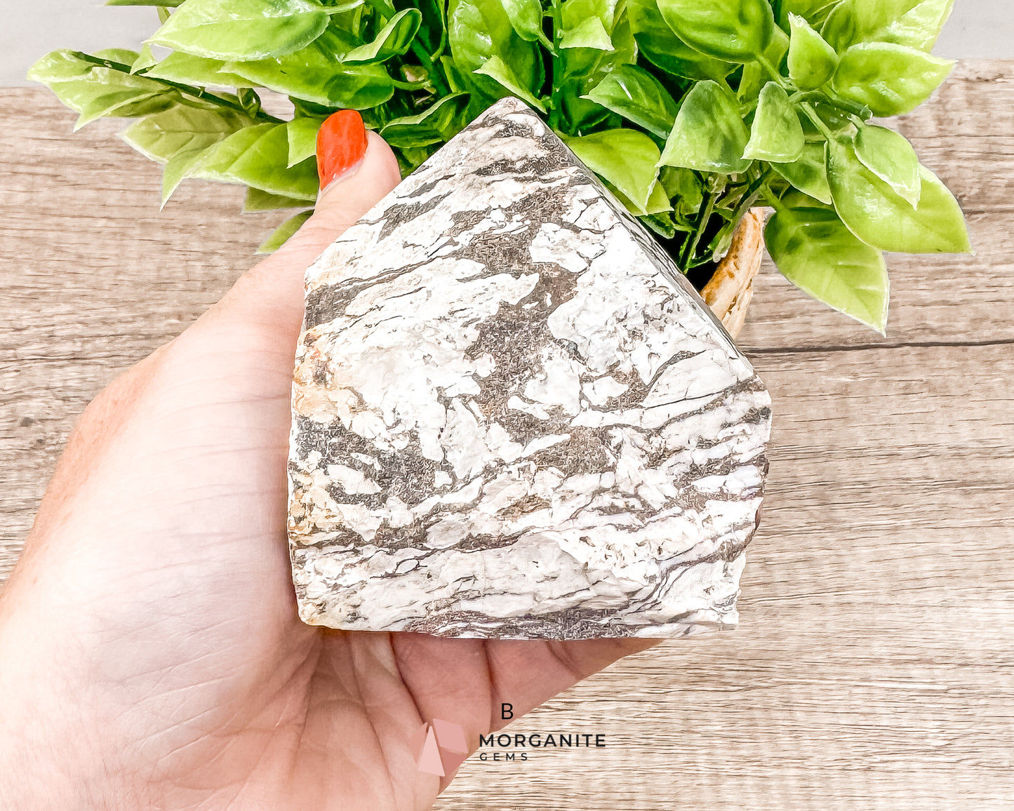 Zebra Jasper Cut Base Point with Polished Top – Grounding and Balancing Crystal for Strength and Protection