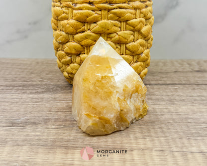 Golden Healer Half Rough Cut Base Point – Natural Healing Crystal for Energy Amplification & Spiritual Healing Morganite Gems