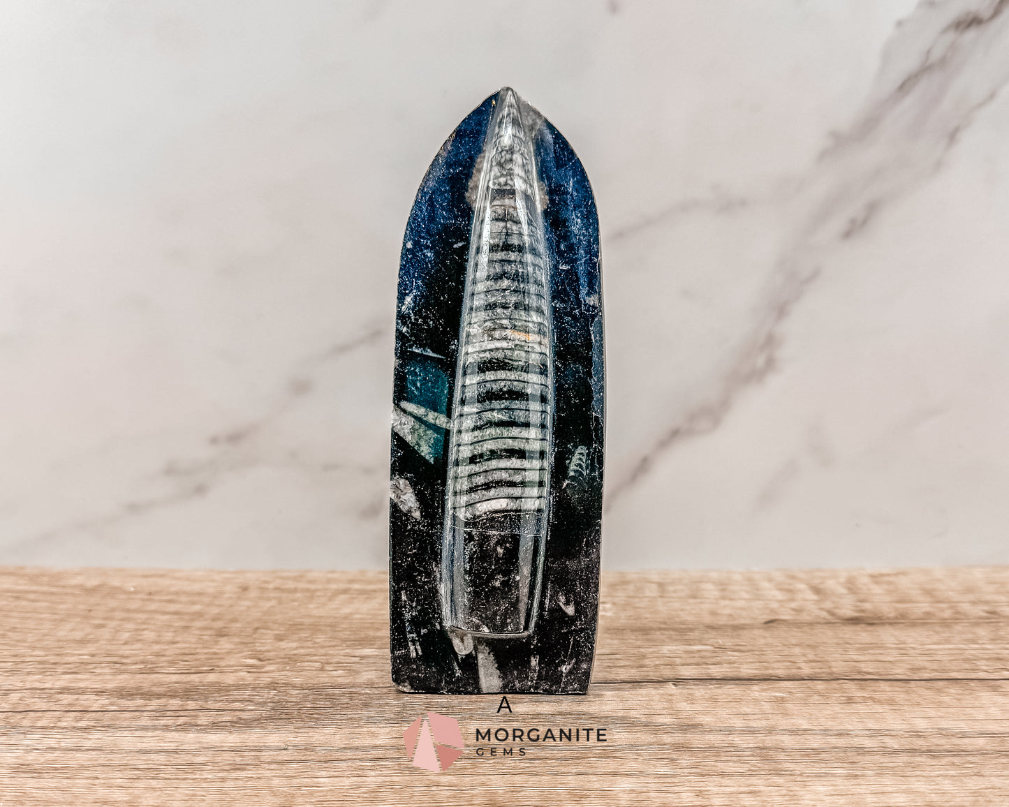 Standing Orthoceras Fossil Tower – Ancient Fossil for Grounding, Transformation & Historical Beauty Morganite Gems