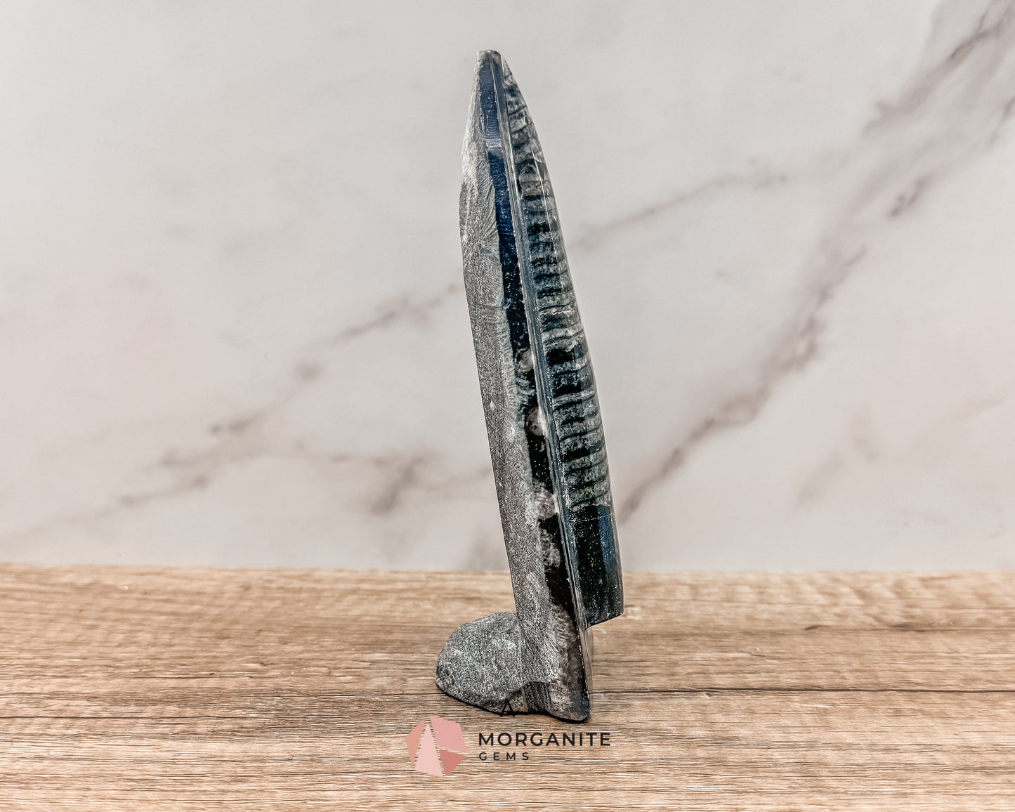 Standing Orthoceras Fossil Tower – Ancient Fossil for Grounding, Transformation & Historical Beauty Morganite Gems