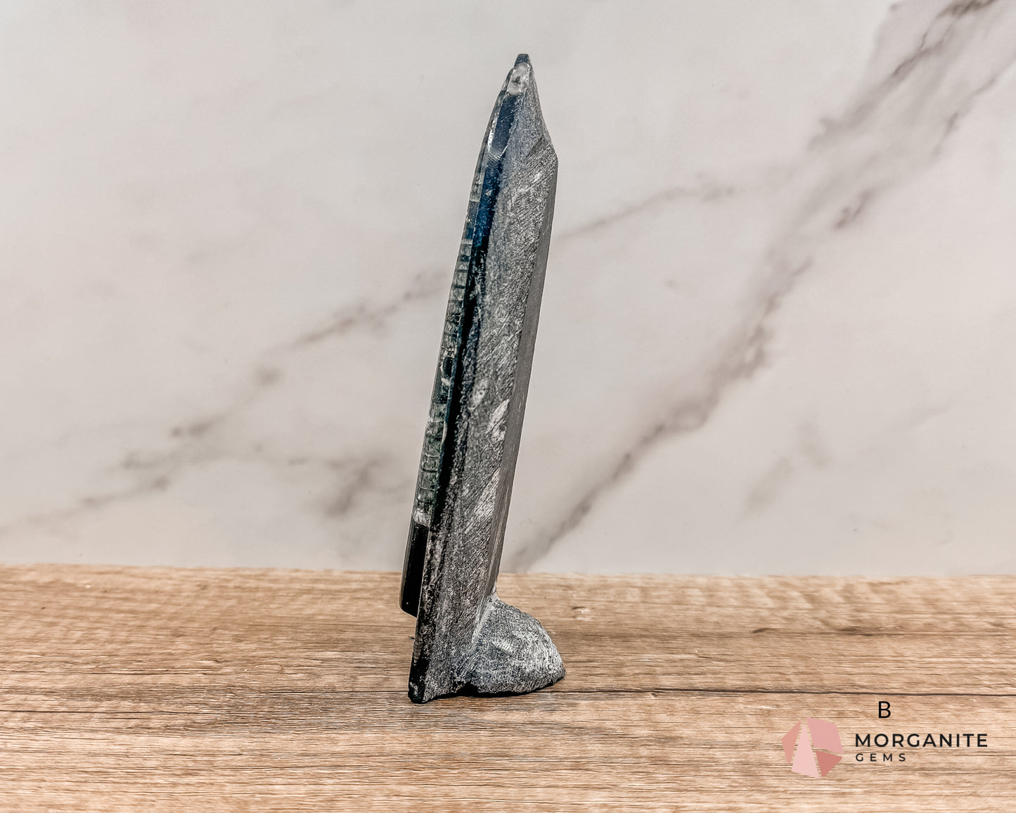 Standing Orthoceras Fossil Tower – Ancient Fossil for Grounding, Transformation & Historical Beauty Morganite Gems