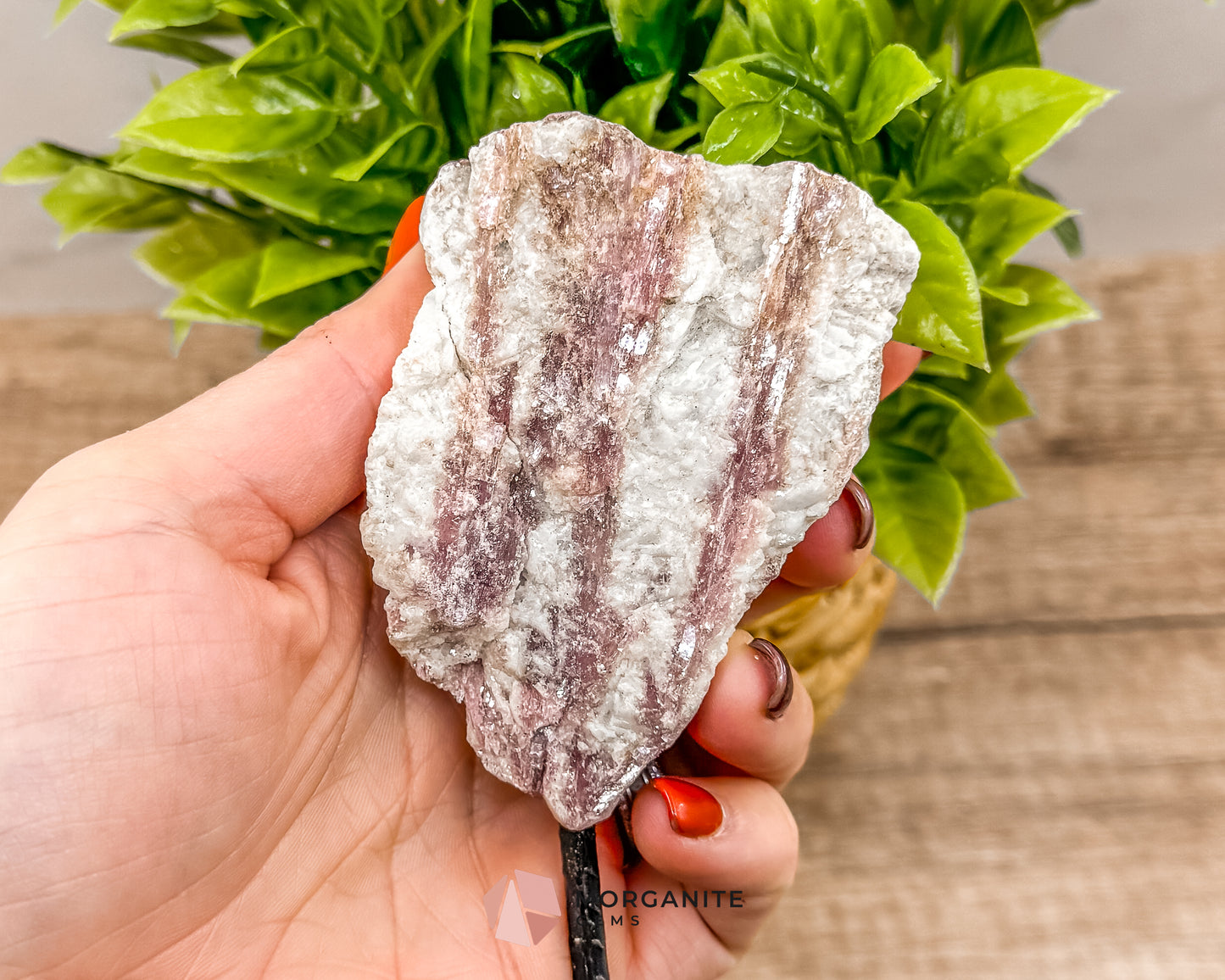 Raw Pink and White Tourmaline on Metal Stand – Healing Crystal for Love, Balance & Emotional Support Morganite Gems