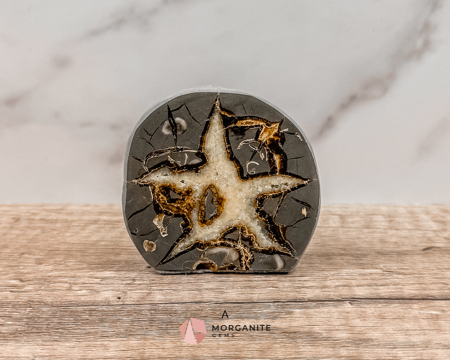 Septarian Nodule Polished End-Cuts – Unique Fossil Crystal for Grounding, Protection & Creativity Morganite Gems