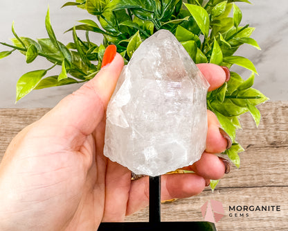 Clear Quartz Point on Metal Stand – Energy Amplifying Crystal for Clarity, Healing & Focus Morganite Gems