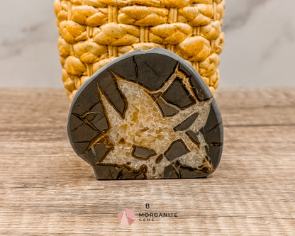 Septarian Nodule Polished End-Cuts – Unique Fossil Crystal for Grounding, Protection & Creativity Morganite Gems