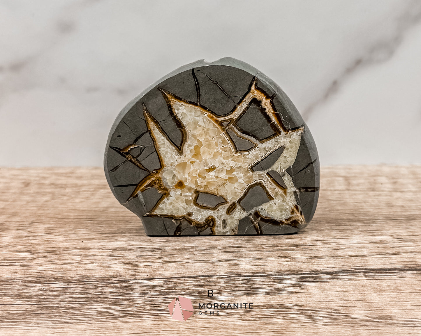 Septarian Nodule Polished End-Cuts – Unique Fossil Crystal for Grounding, Protection & Creativity Morganite Gems