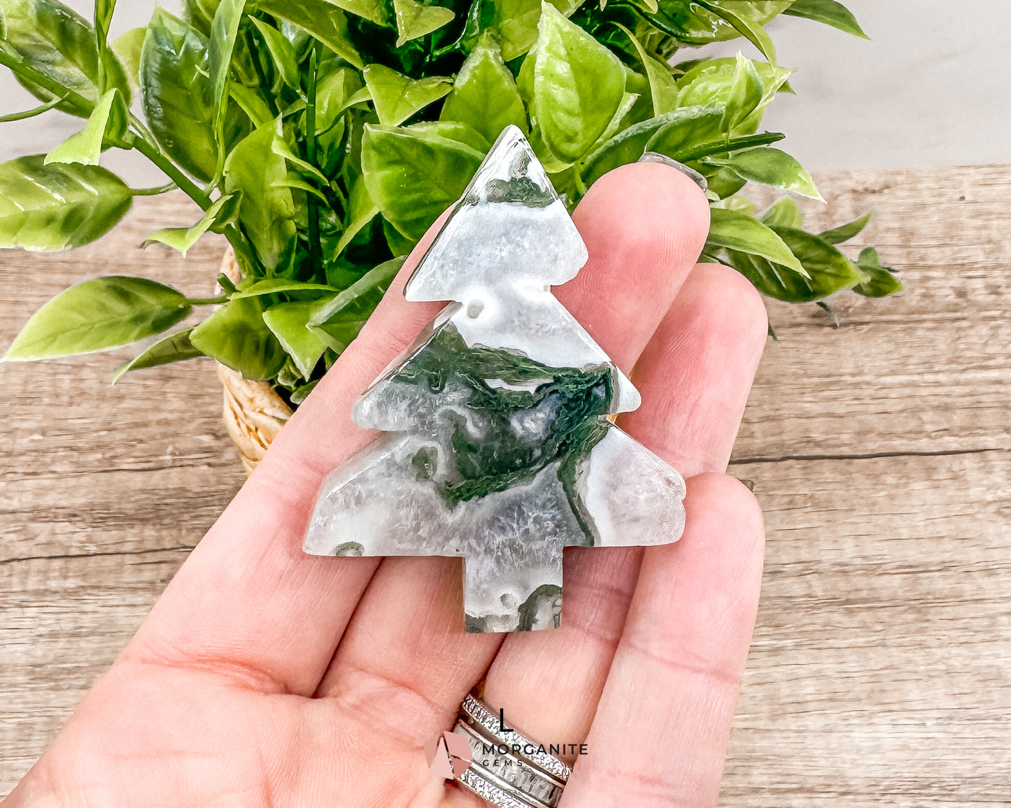 Unique Moss Agate Pine Tree Carvings – Each One-of-a-Kind