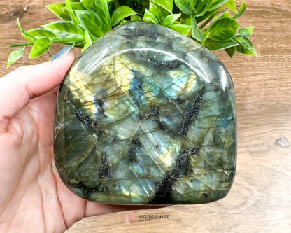 Labradorite Free Form Polished-Morganite Gems