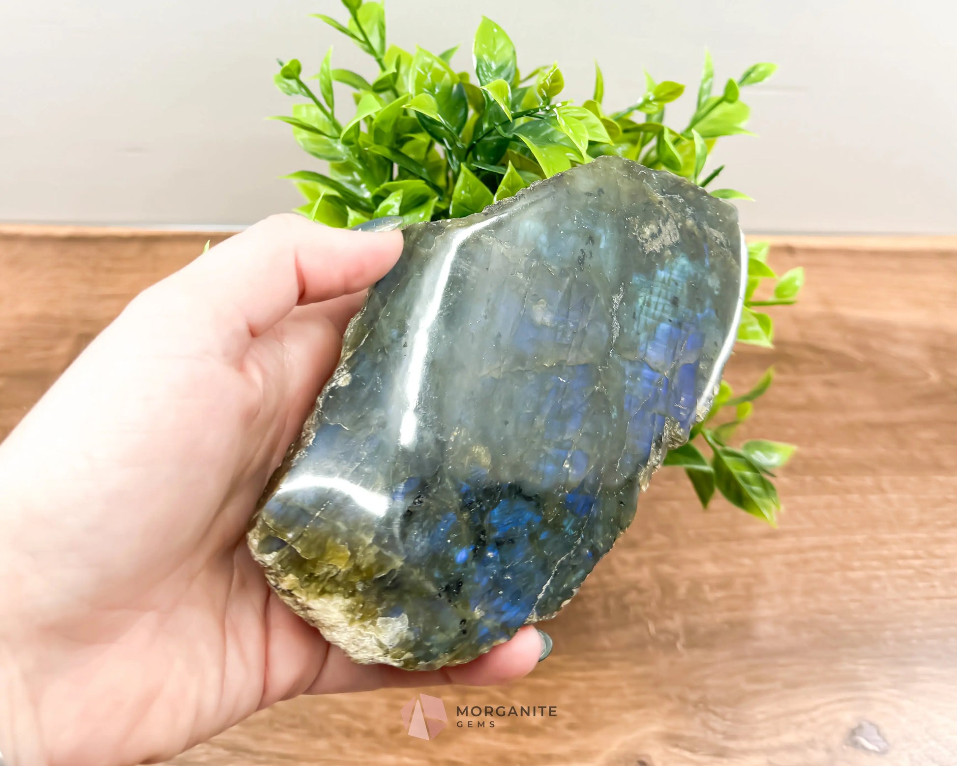 Labradorite One Polish Side Free Form - Morganite Gems