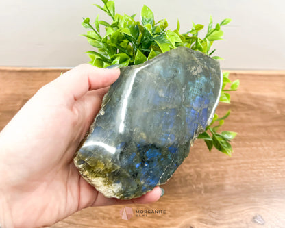 Labradorite One Polish Side Free Form - Morganite Gems