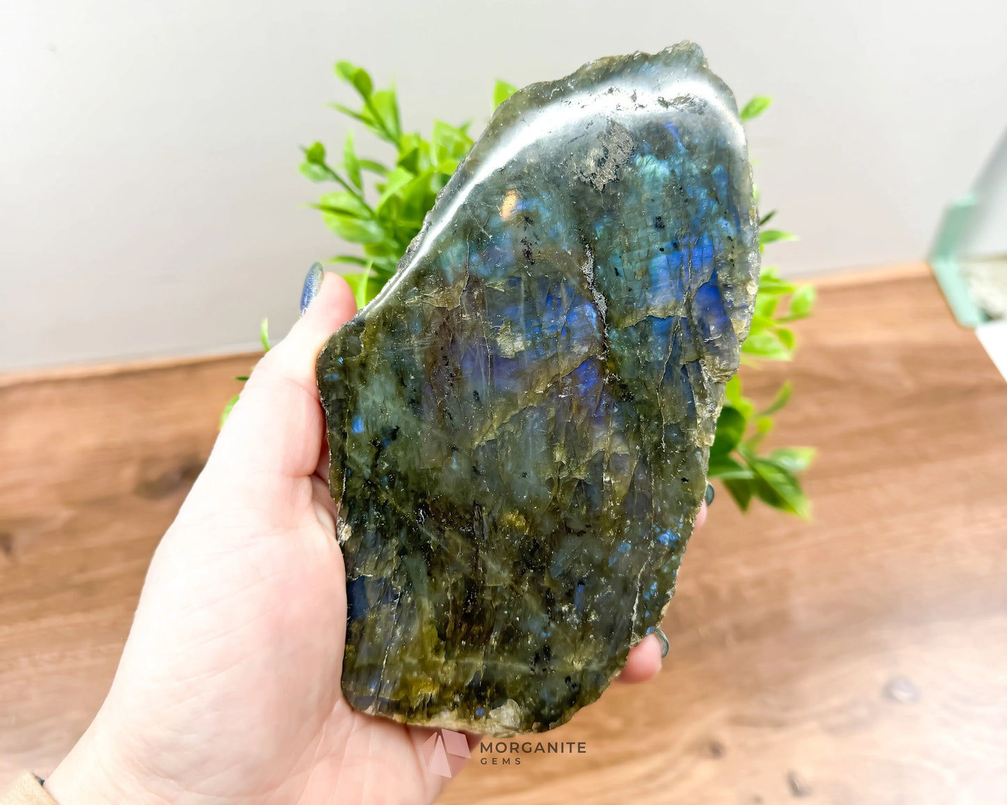 Labradorite One Polish Side Free Form - Morganite Gems