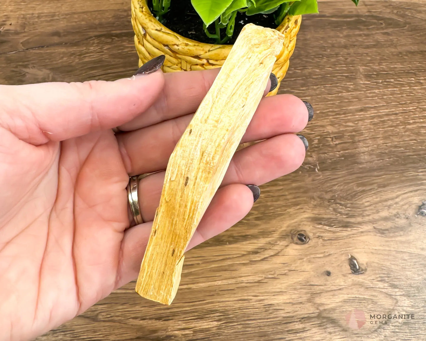 Palo Santo Stick - Morganite Gems