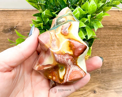 Polychrome Jasper Flame - Morganite Gems