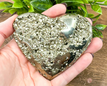 Pyrite Hearts - Polished Stone Cluster - Morganite Gems