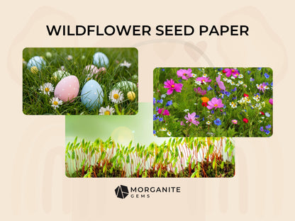 Wildflower Seed Paper Set