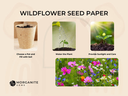 Wildflower Seed Paper Set