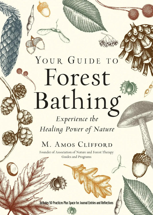 Your Guide to Forest Bathing (Expanded Edition) - Morganite Gems