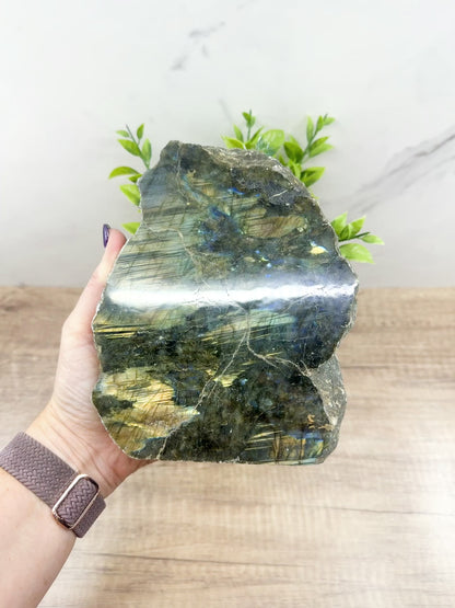 Labradorite One Polish Side Free Form