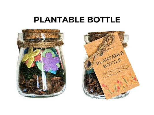 Plantable Jar, Seed Paper Jar, Easter Gift, Plantable Easter Egg, Seed Paper Gift, Curio, Easter Present, Easter Gift Box, Wildflower Seed