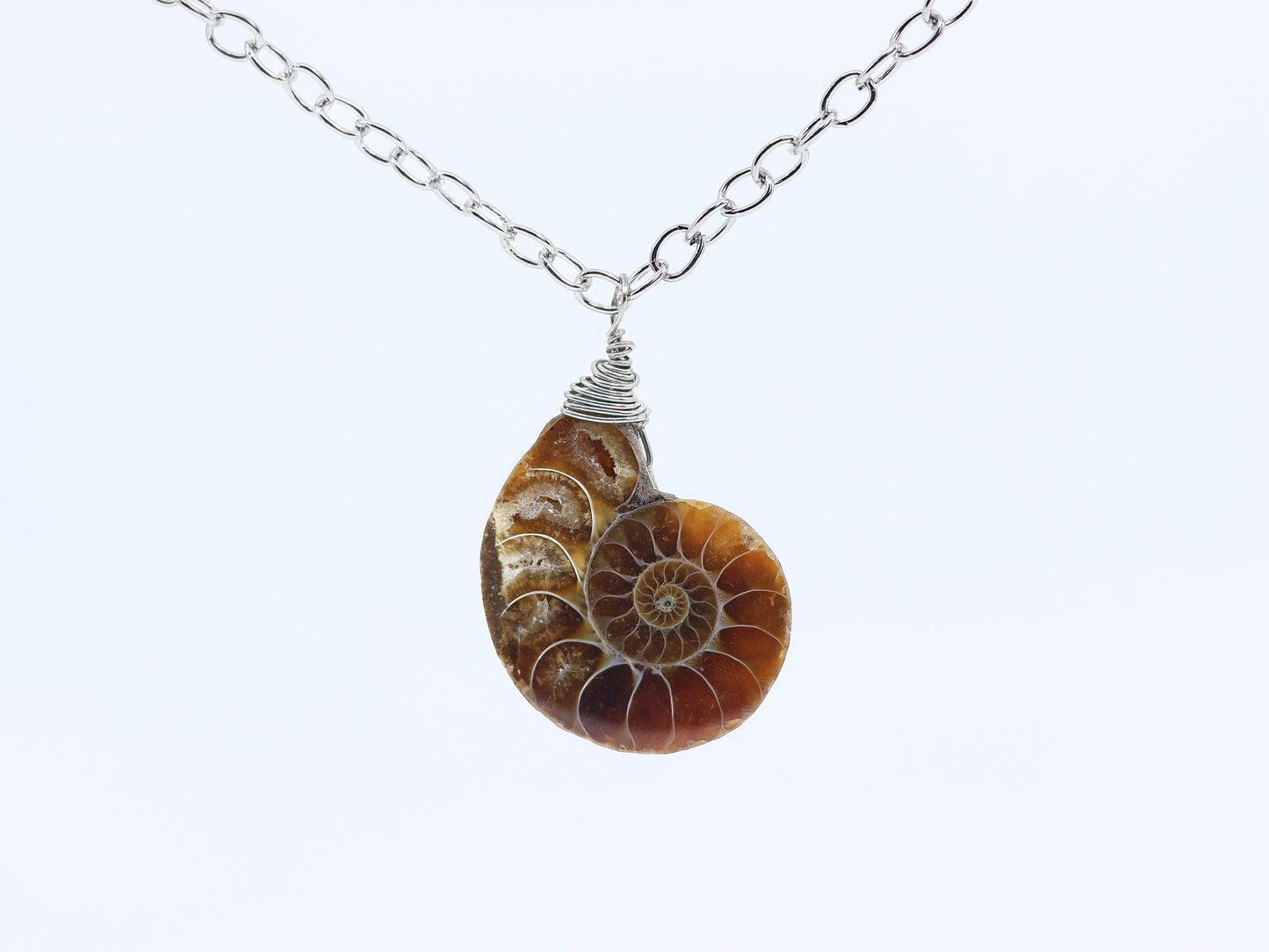 Ammonite Fossil Necklace | Ammonite Pendant | Fossil Jewelry | Wire Wrap Ammonite Necklace | Spiral Fossil Pendant | Fossil Specimen